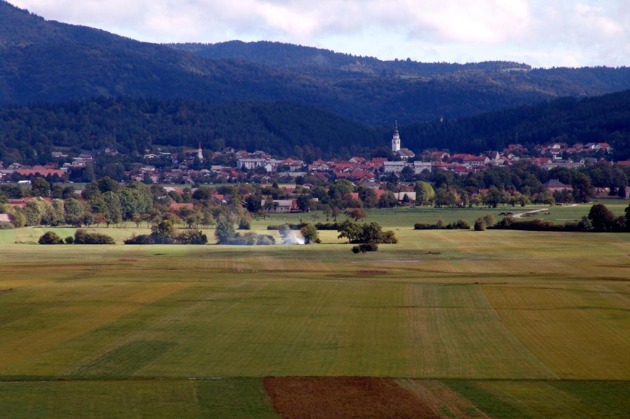 Tabor43 *